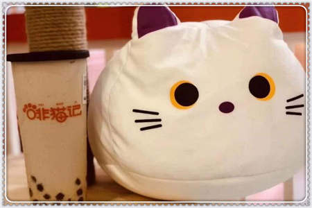 上海啡猫记奶茶加盟