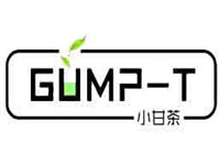 抖音小甘茶GUMP-T