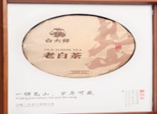 开一家白大师白茶加盟店有什么条件？
