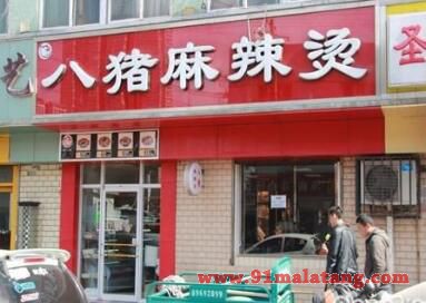 怎么加盟八猪麻辣烫?八猪加盟店需要投资多少钱?