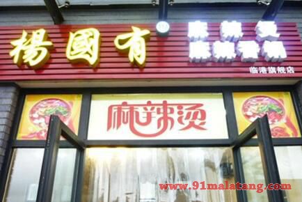 杨国有麻辣烫加盟店费用多少钱