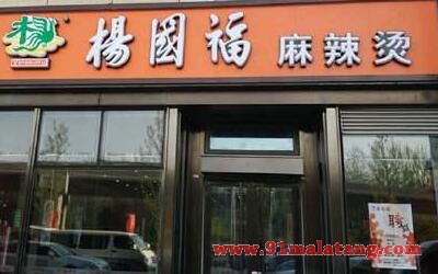 杨国福麻辣烫加盟店