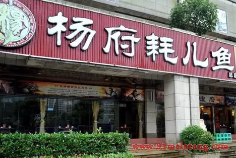 杨府耗儿鱼火锅店加盟要多少钱?成为富人你只差16.8万