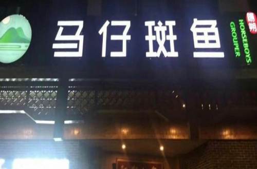 马仔斑鱼加盟费