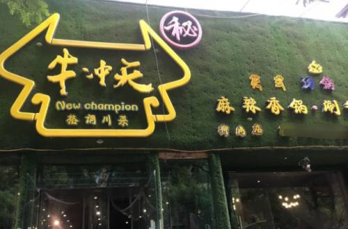 牛冲天加盟费