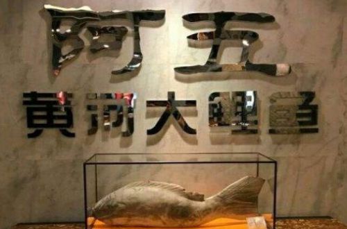 阿五黄河大鲤鱼加盟费用