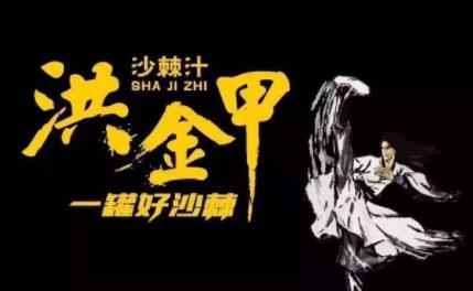 洪金甲沙棘汁的加盟代理费