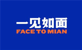 一见如面