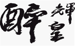 醉辉皇
