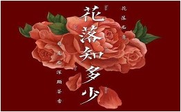 花落知多少