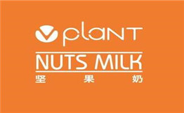 Vplant坚果奶加盟