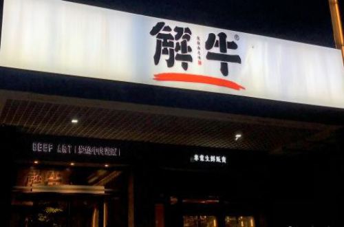 解牛炭火牛肉盖饭