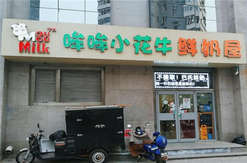 哞哞小花牛鲜奶屋