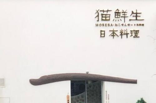 猫鲜生日料加盟