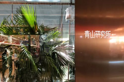 青山研究所甜品